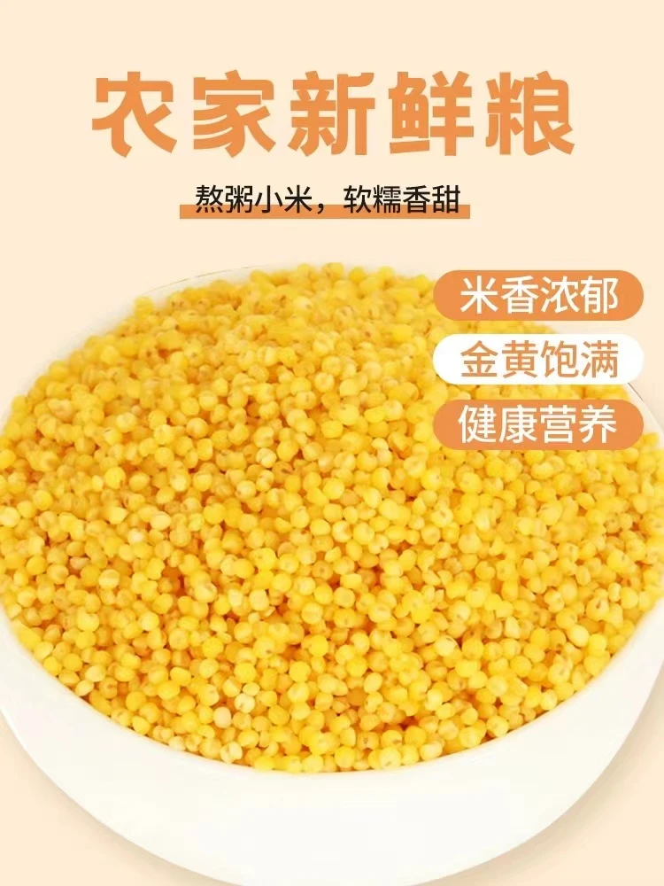 优质山西农家土特产食用营养黄小米饱满香甜5斤独立真空包装包邮