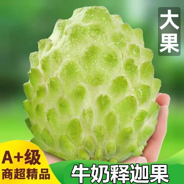 广西高原新鲜牛奶释迦果香甜多汁热带水果新鲜水果大果林檎番荔枝