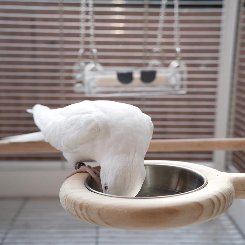 千鹦鸟舍实木鹦鹉喂食站棒食碗可取下玄凤牡丹虎皮文鸟