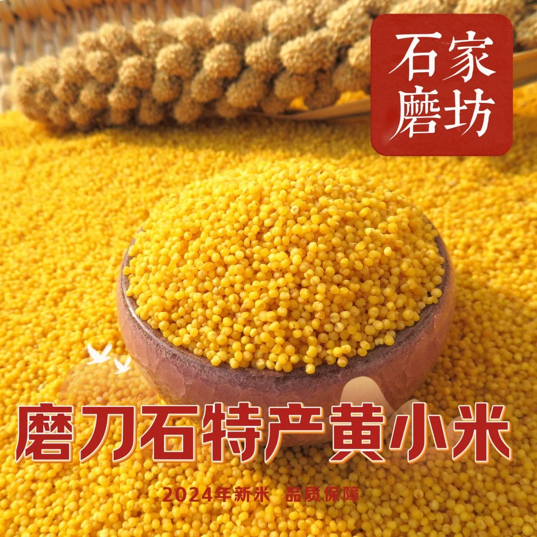 2024年新米黄小米 5斤装磨刀石特产农家现磨营养健康