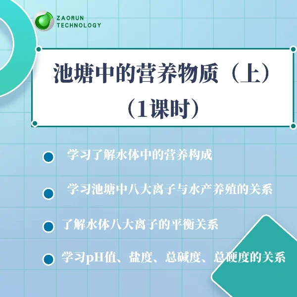 池塘中的营养物质（上）