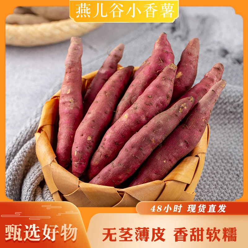 燕儿谷大别山老乡自挖板栗味小香薯现挖5斤