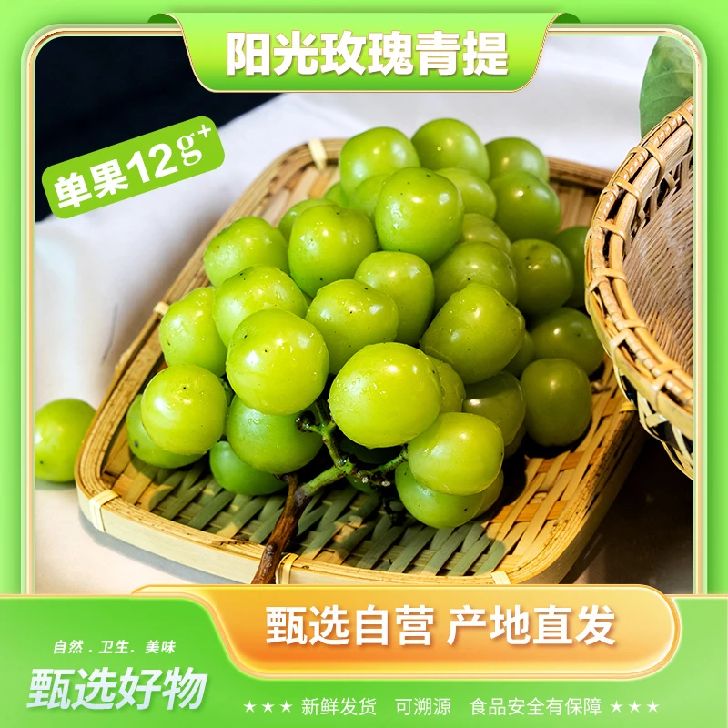 大别山阳光玫瑰青提5斤 现摘现发京东包邮