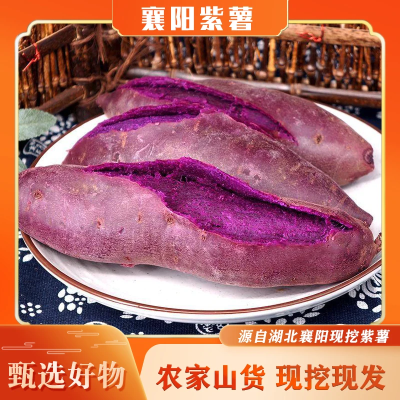 【现挖现发】湖北襄阳优质新鲜沙地紫薯入口软糯香甜净重4.5斤