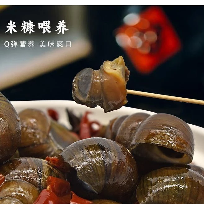 麻辣大田螺野生放麻辣脆皮特大号田螺香辣味新鲜袋装冷冻零食小吃
