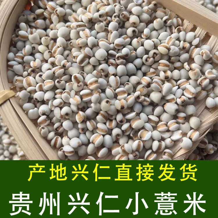 贵州优选小薏米新货药食用新鲜薏仁米正宗兴仁意米农家自产苡米仁