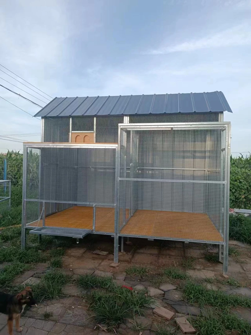 种赛一体拼装鸽舍，3×2米鸽舍，单板尖顶，3×3方管，地腿50公分