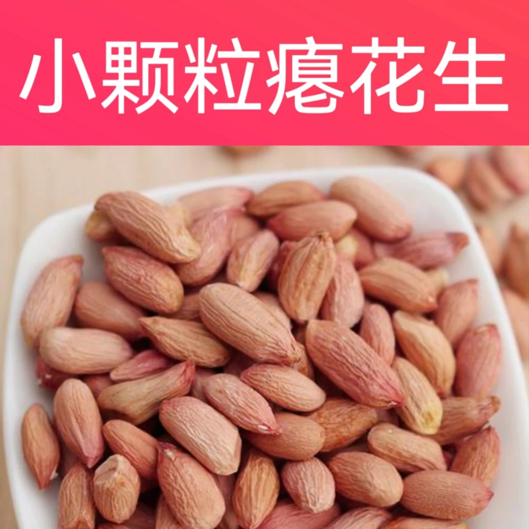 山东泰安瘪花生新货小粒生花生小白沙甘甜养胃零食批子瘪子