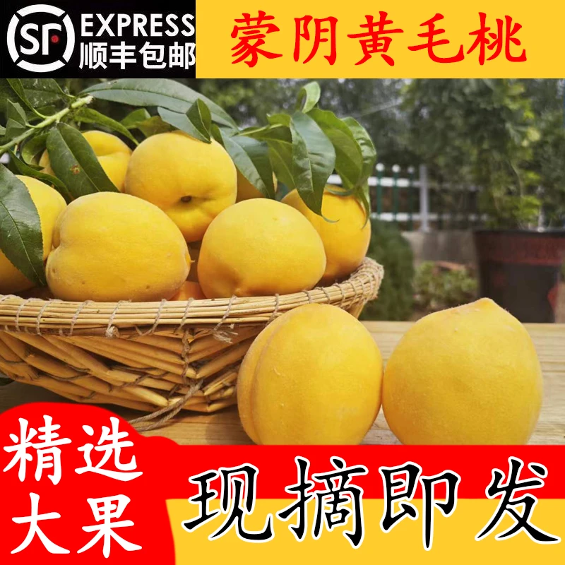 正宗沂蒙山纯甜大黄桃新鲜应季水果黄毛桃顺丰包邮4.5-5斤【大果】