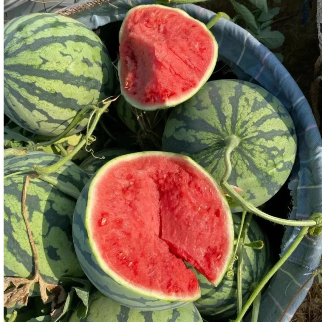 【新鲜】西瓜 1.5kg （现切，称重后去皮哈）