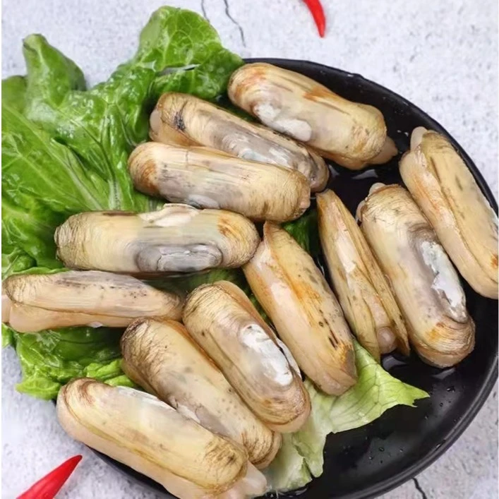 【鲜活饱满】指甲贝( 500g±20g)贝壳
