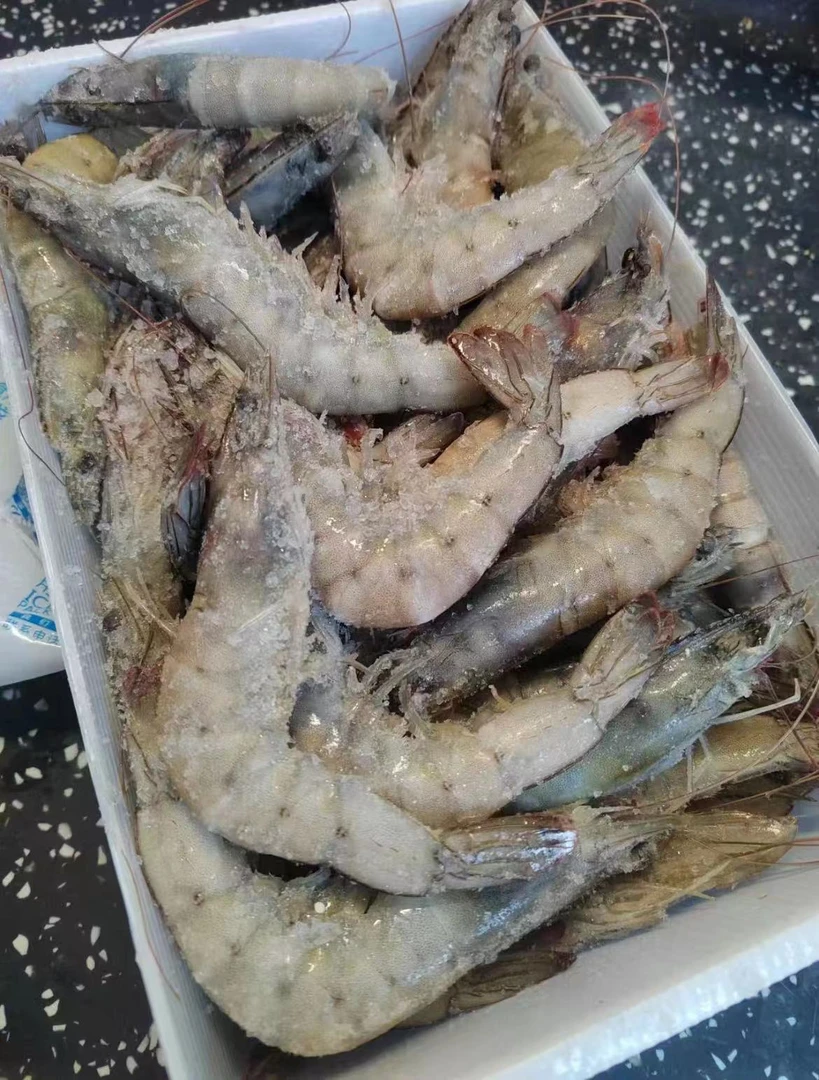 【冰冻】厄瓜多尔大虾(白虾)500g/份(30/40规格)精品海鲜海鲜水产