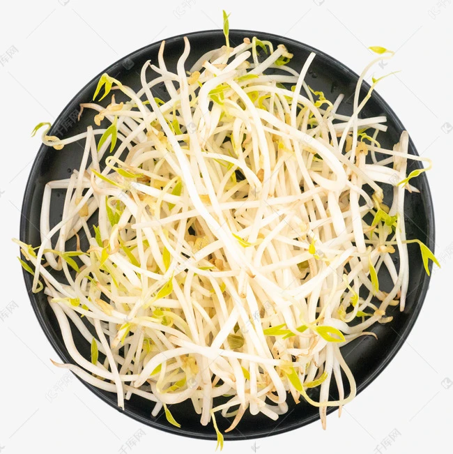 【脆嫩】新鲜水培绿豆芽  300g