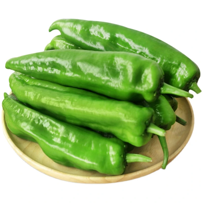 【富含维生素】绿色粗青椒200-500g