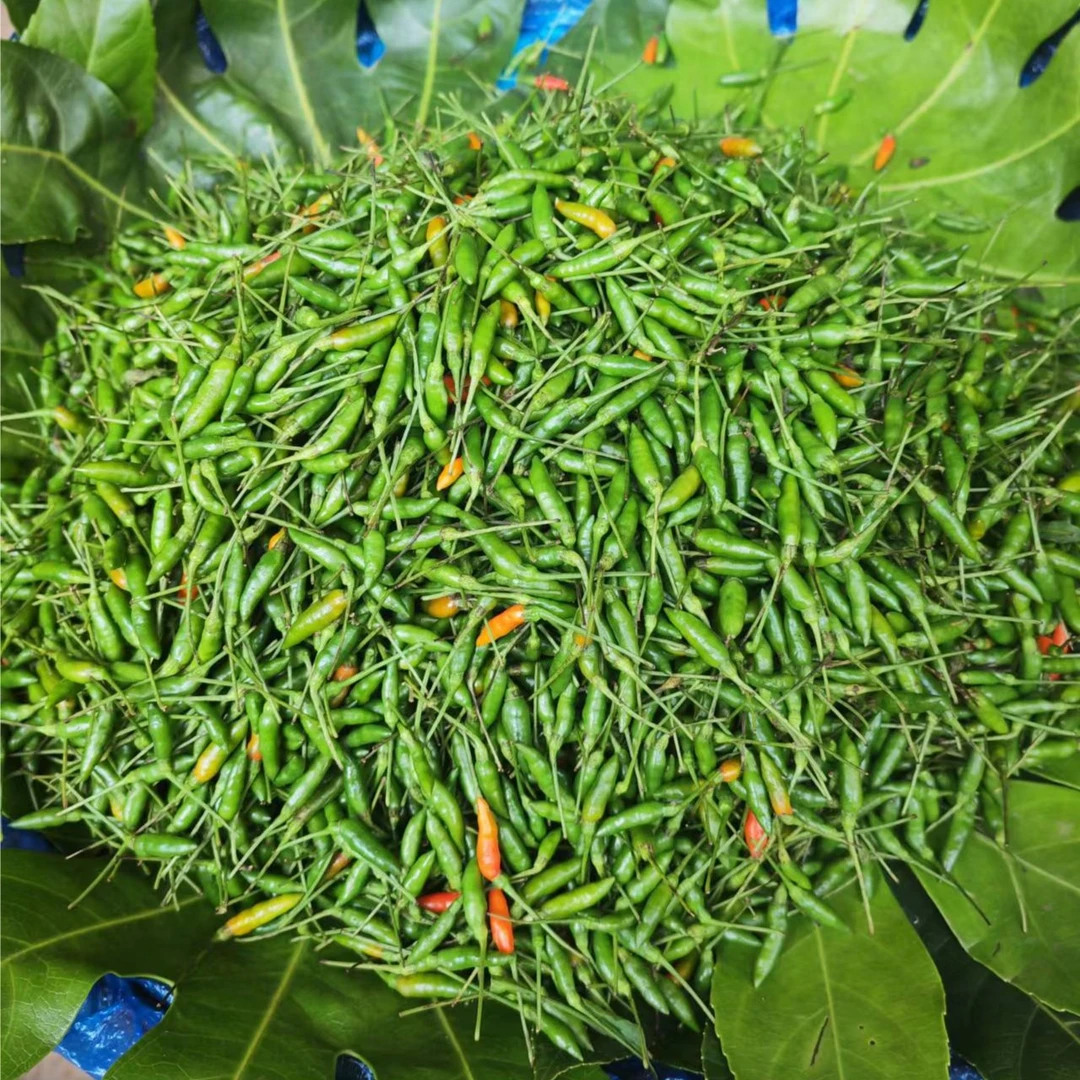 迷你小辣椒小雀椒 200g