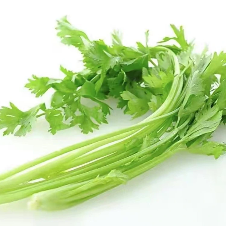 新鲜芹菜小绿芹 200g~500g绿色蔬菜