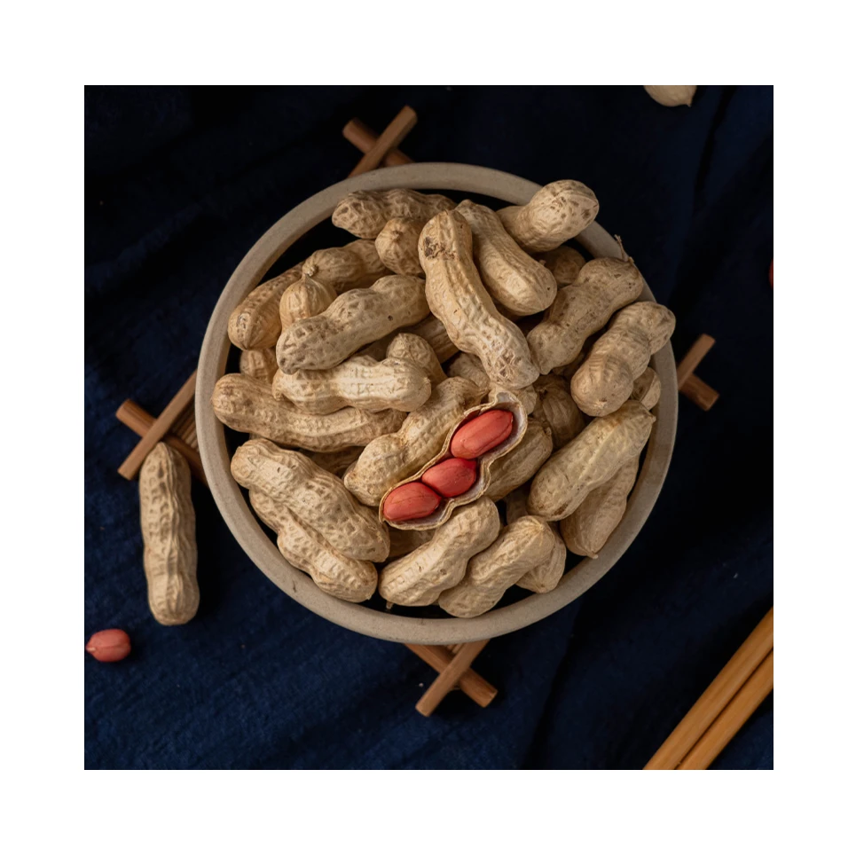 【休闲零食】带壳炒花生  约285g/袋