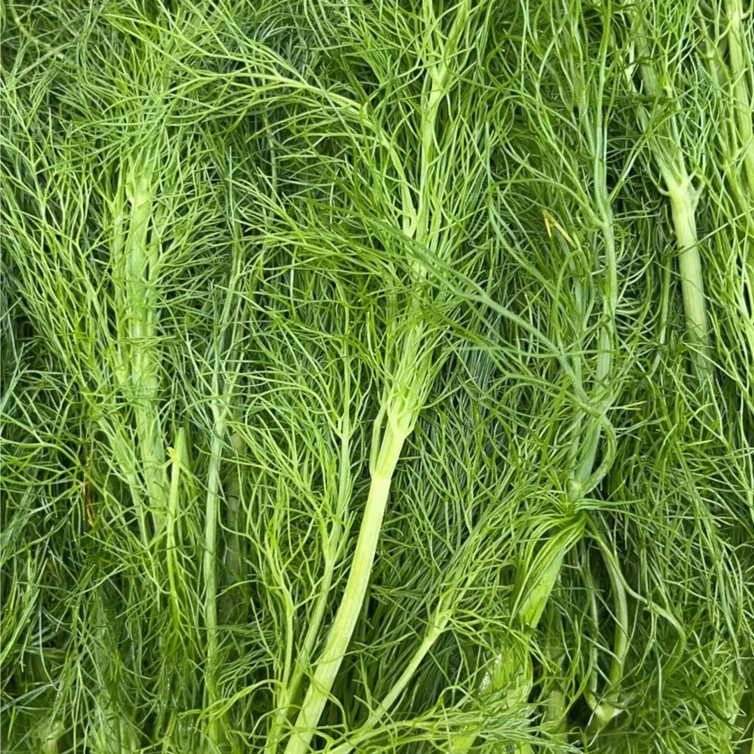 茴香尖 200g（库存不稳定）新鲜