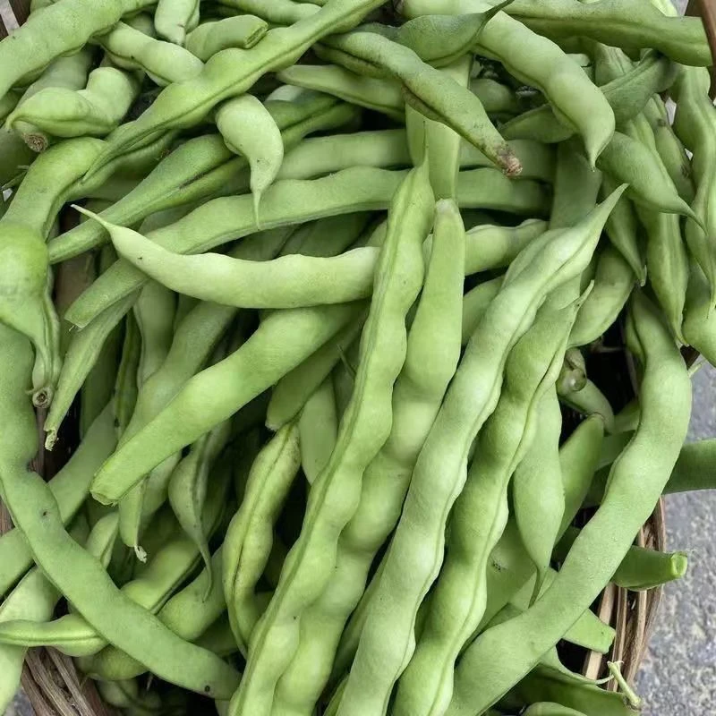 【有筋】新鲜四季豆 300g