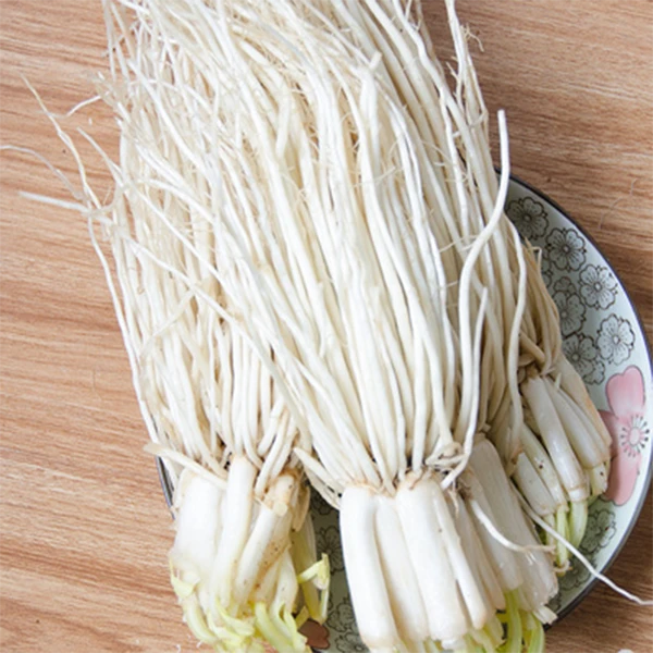 韭菜根苤菜根 300g绿色蔬菜