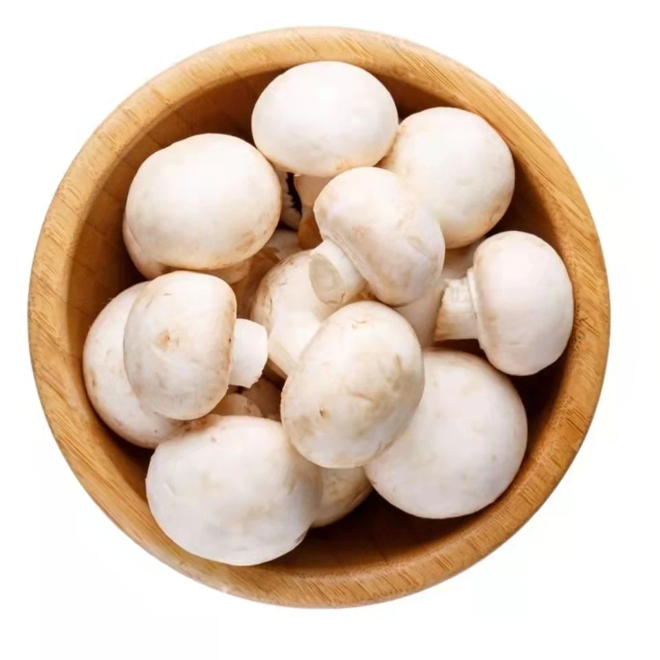 【新鲜蘑菇】(口蘑菜)白蘑菇300g蔬菜