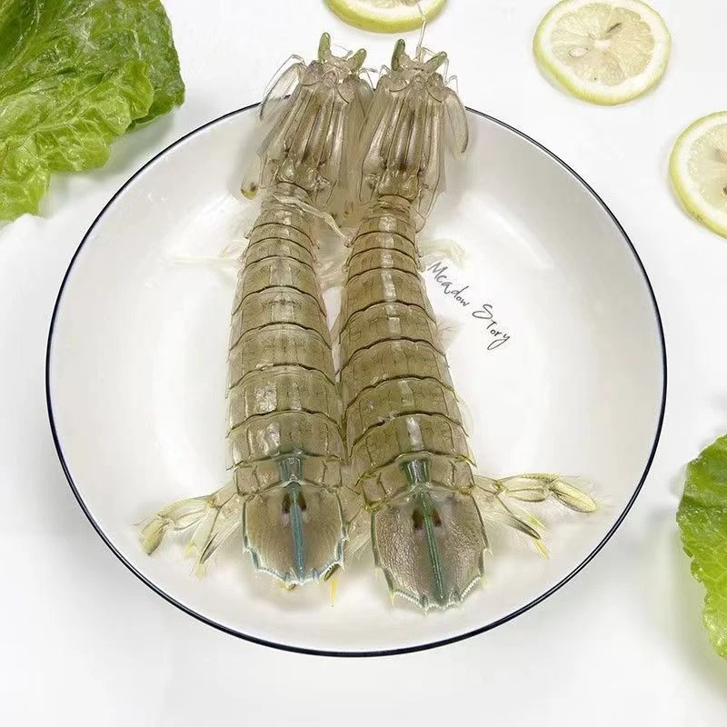 鲜活皮皮虾  500克（鲜活到家）大虾