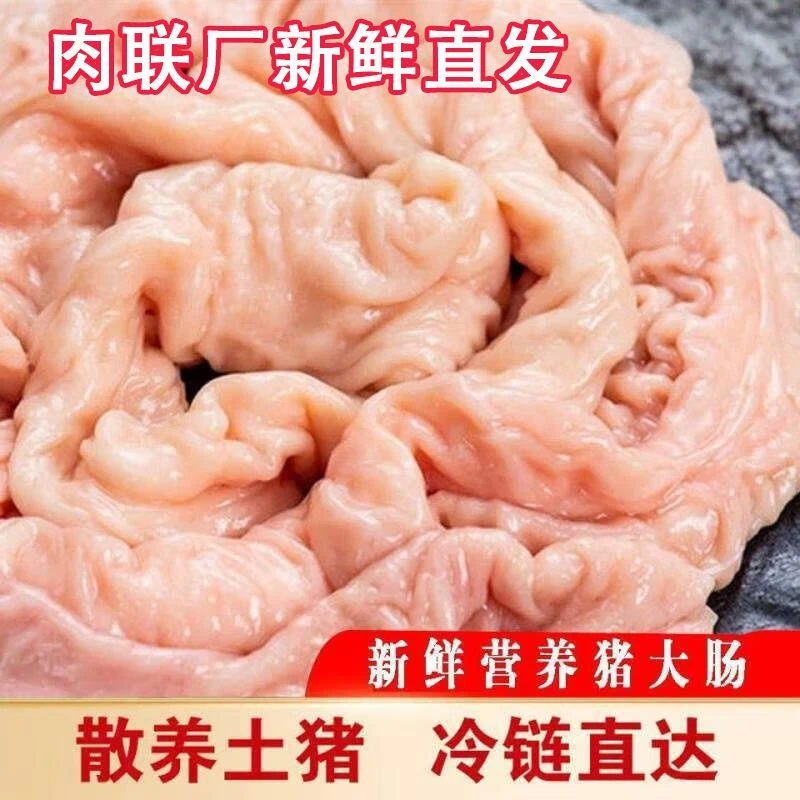 猪大肠生猪新鲜大肠冷冻肥肠免洗猪肠子干净少油猪生肠食材