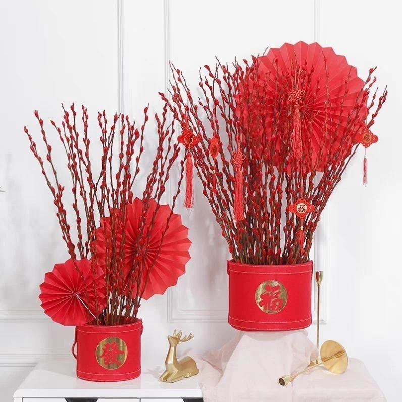 银柳真花鲜枝年宵花红色银柳干花耐寒盆栽水培花卉易活植物室内花