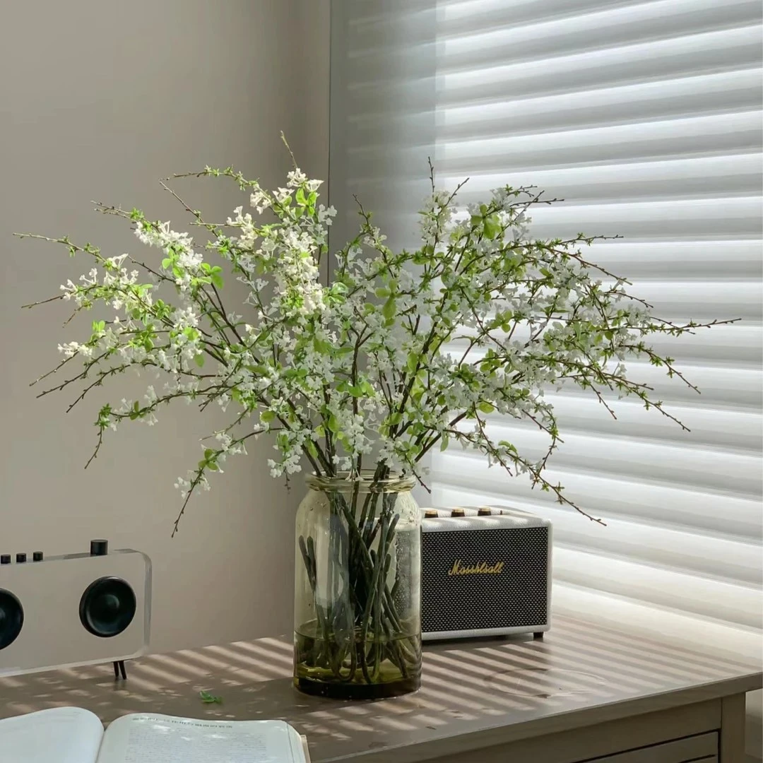 雪柳鲜枝水培耐寒开花室内绿植新鲜鲜花水培植物干枝雪柳