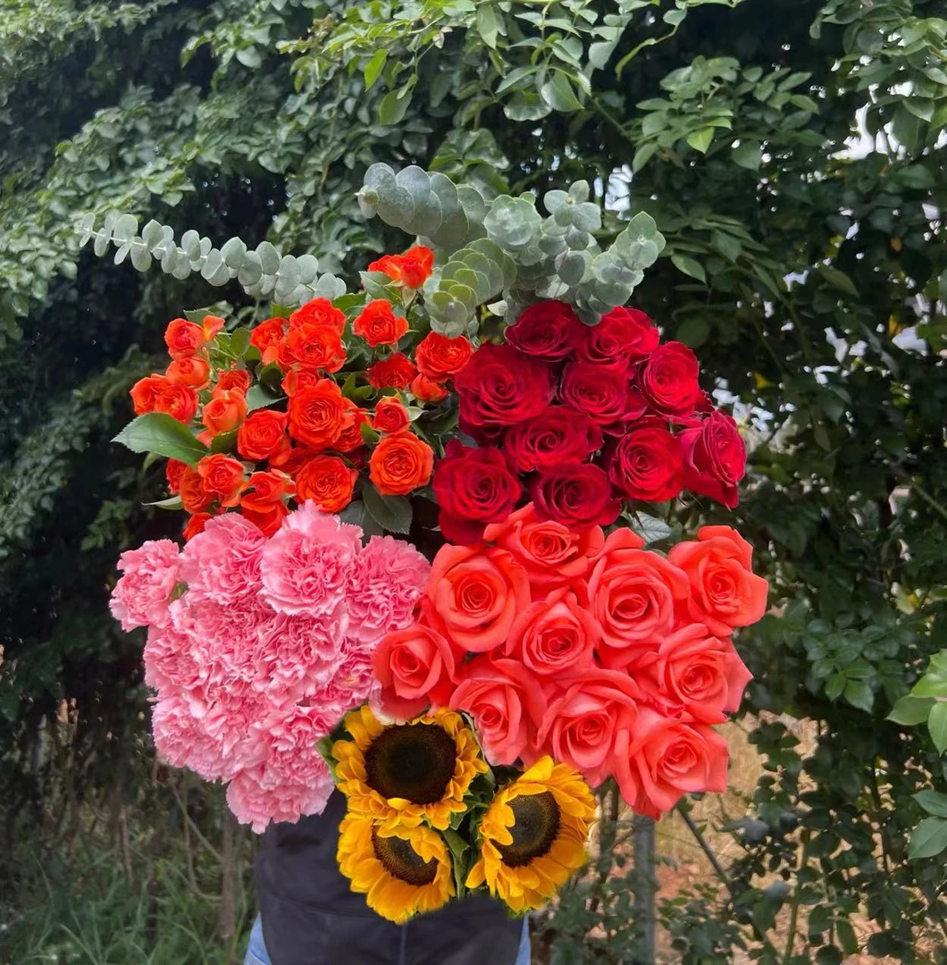 【鲜花六件套组合】云南基地直发直播间现场直播卖花