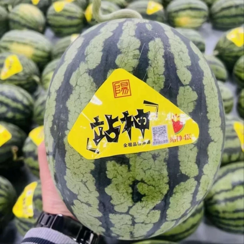 【顺丰快递】站神甘美4K西瓜防伪标签码一个5-10斤新鲜好吃战神西瓜