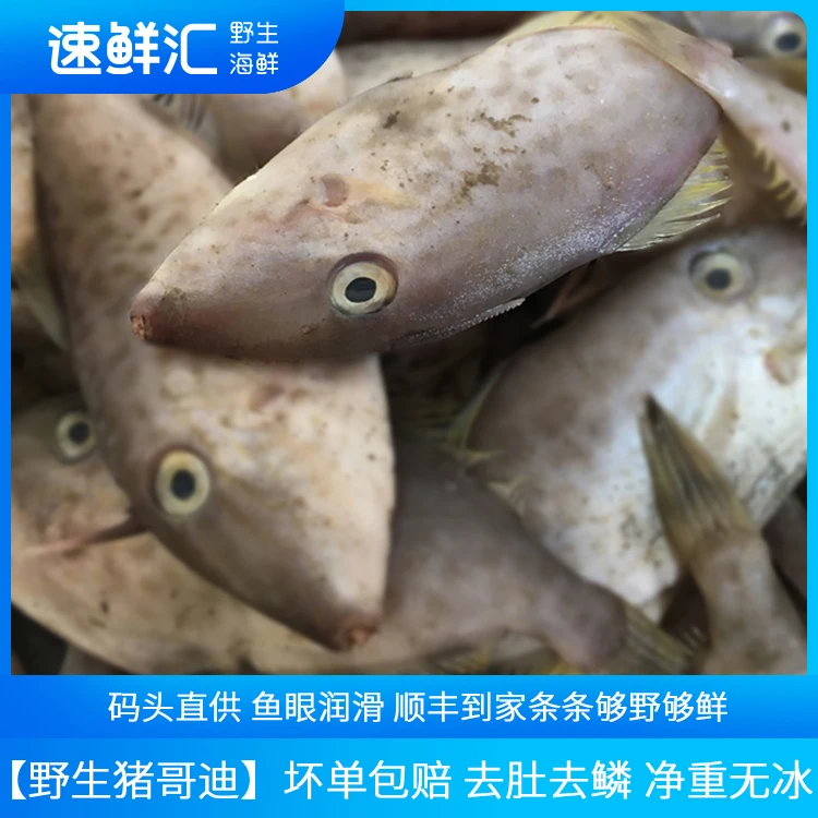 速鲜汇迪仔鱼400g*4包