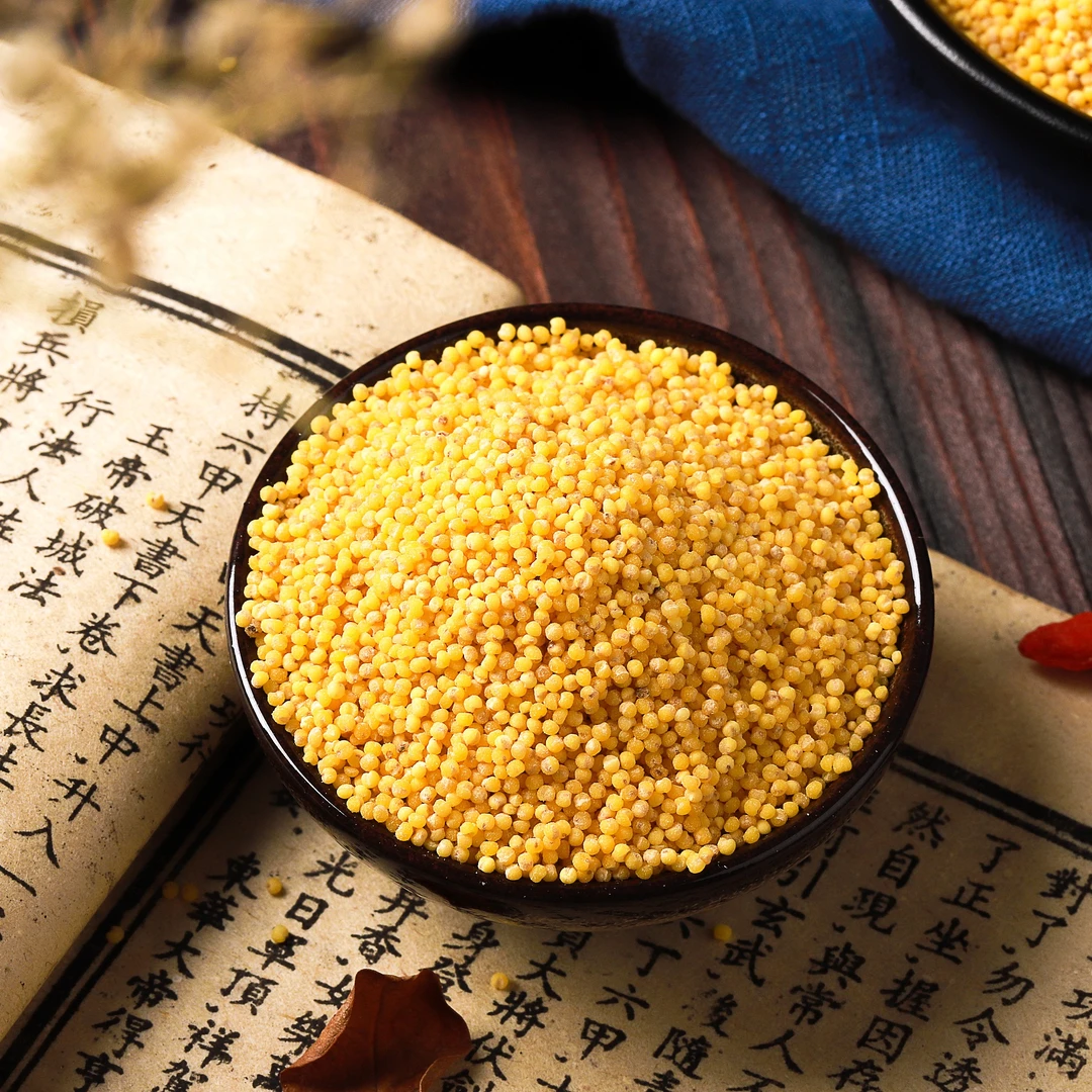 老丫专属—2024新敖汉小米大金苗5斤装
