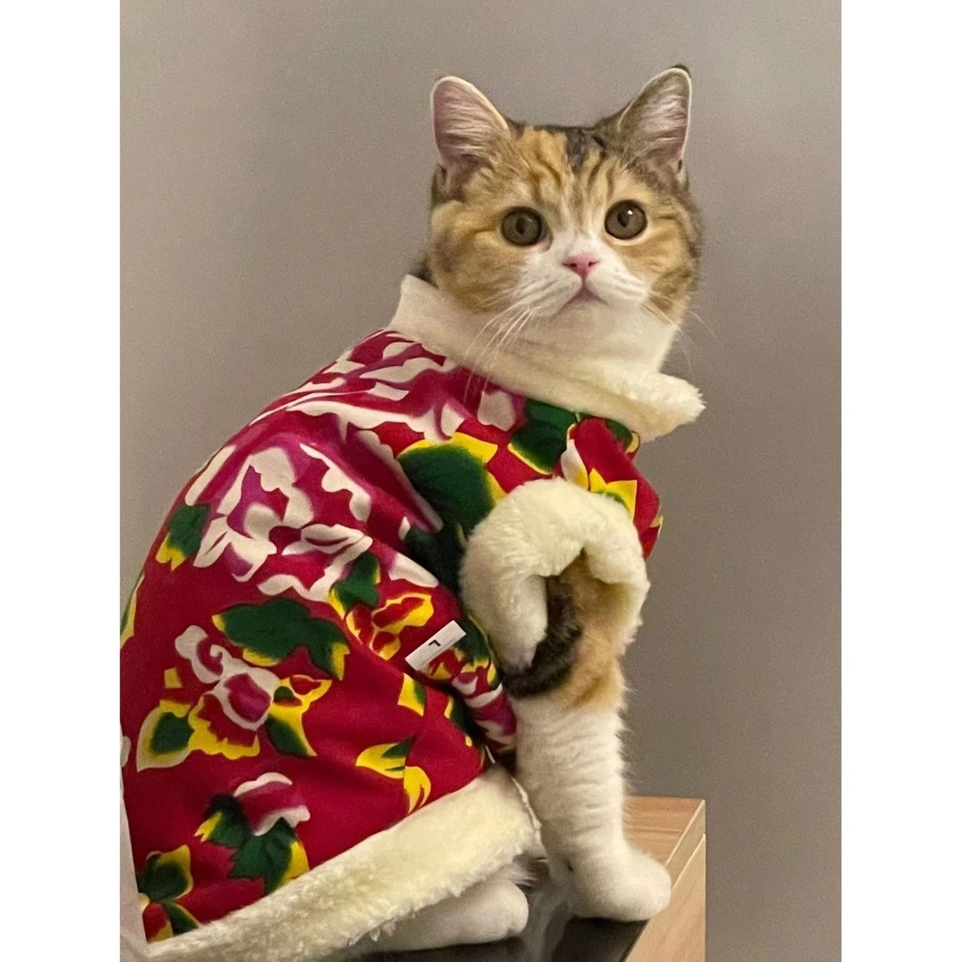 猫咪狗狗春冬季东北大花背心布偶幼猫英短防脱防掉毛宠物喜庆洋气