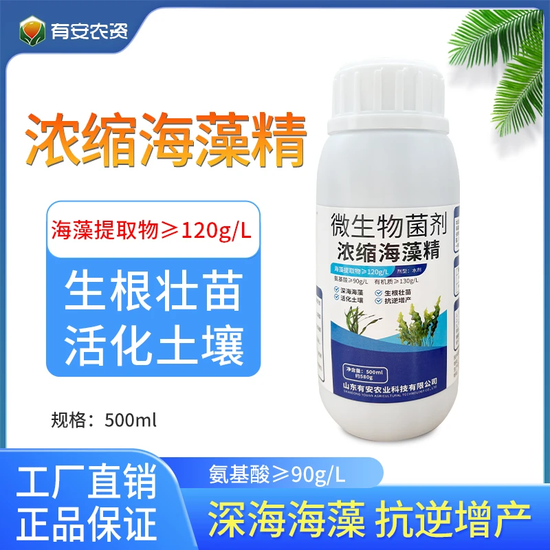 【工厂直发】浓缩海藻精微生物喷施厂家直销农业种植增产保花产品