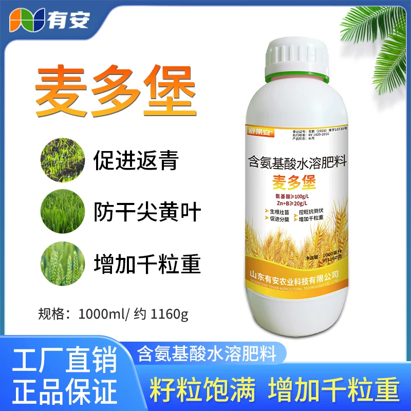 麦多堡小麦增产专用籽粒饱满提质增产农业种植喷施增产小麦肥