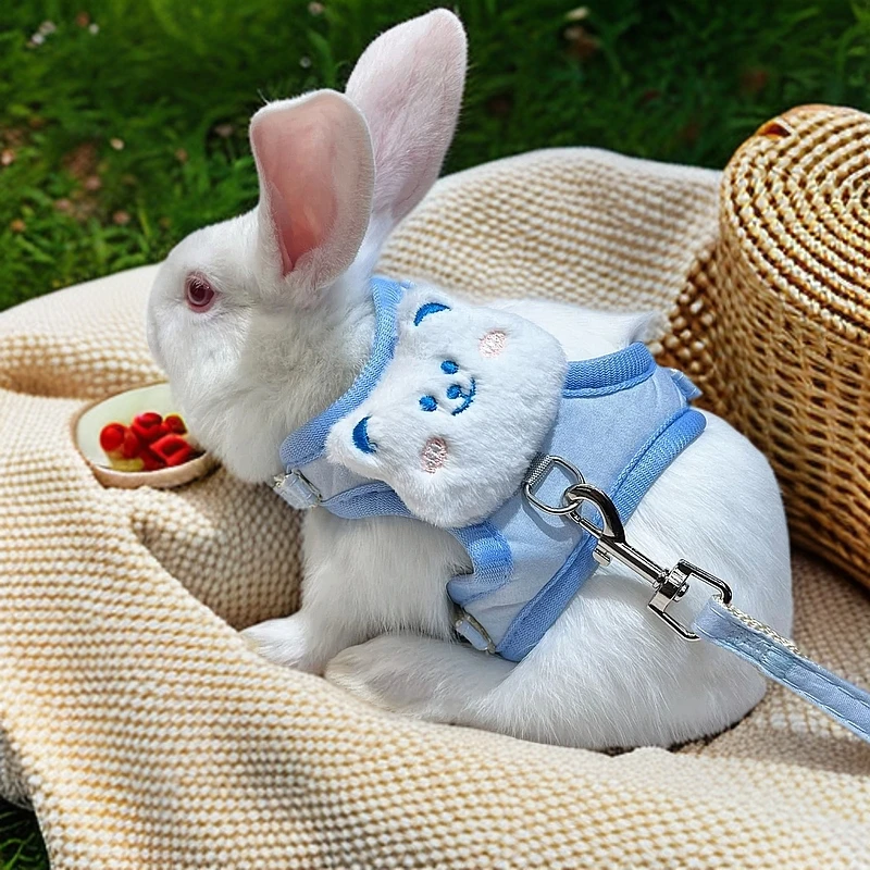 兔子牵引绳小兔子侏儒兔外出兔绳溜兔子绳子溜兔防挣脱可调节兔绳