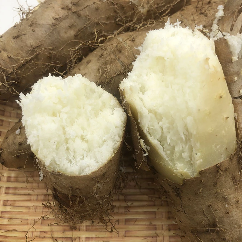 广东毛薯新鲜甜薯猪仔薯粉糯香脚板薯现挖农家自种粗粮3/5/9斤