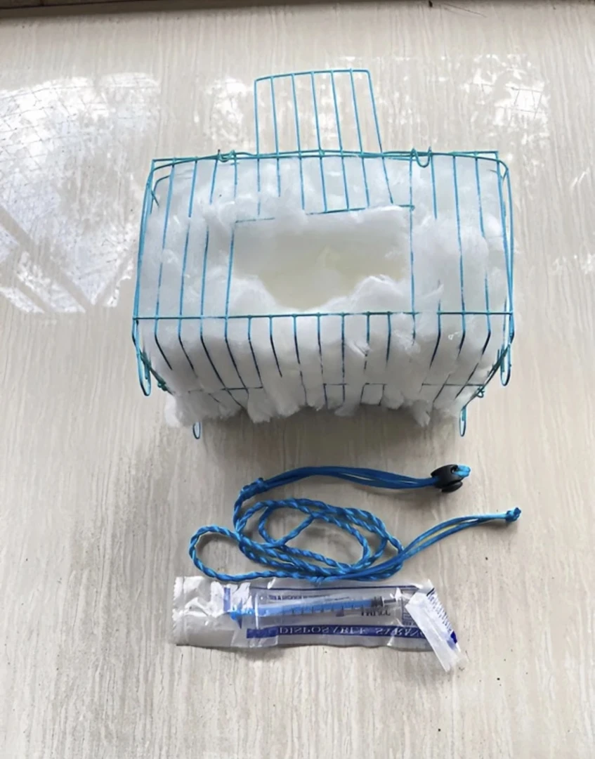 小松鼠饲养套装带牵引绳喂奶针筒教程包邮