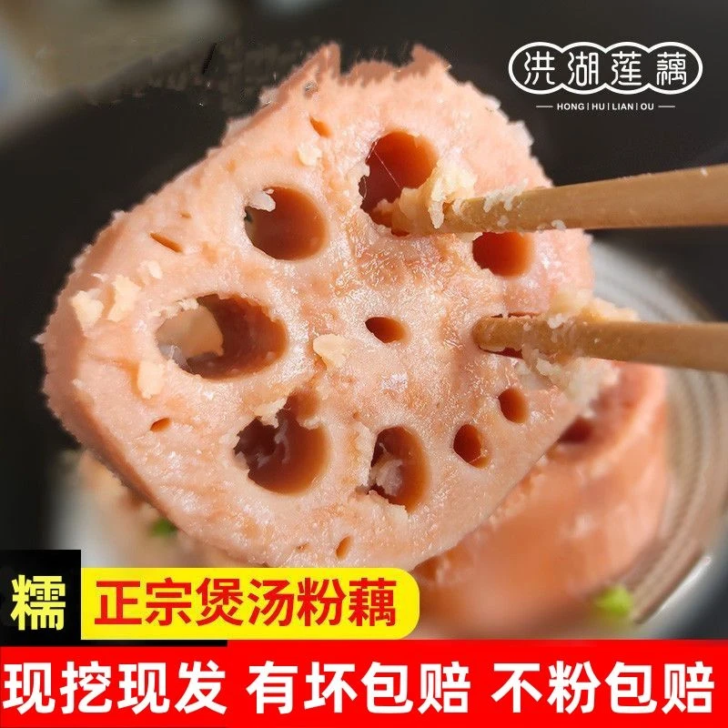 洪湖特产新鲜莲藕粉藕煲汤红藕特产糯米藕糖藕带泥保鲜