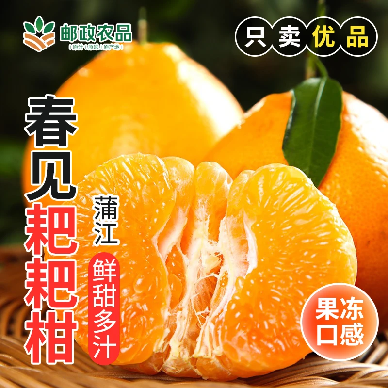 【邮政精选】四川春见耙耙柑香甜多汁优质新鲜水果4.5-8斤产地直供