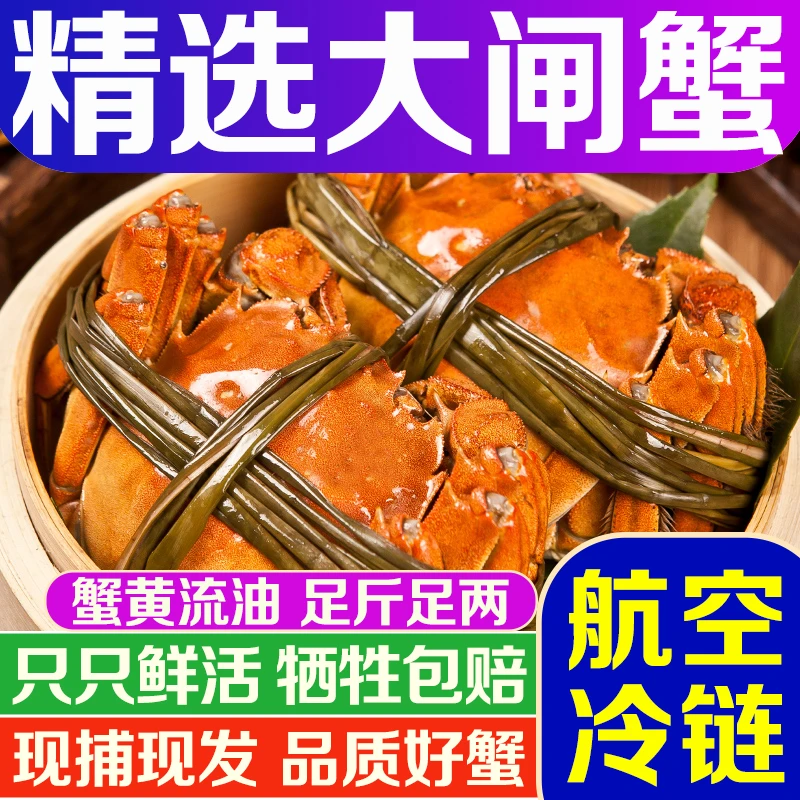 【活蟹】苏州精品蟹 公3.8-3.5两+母2.6-2.3两 8只+4只 到手12只