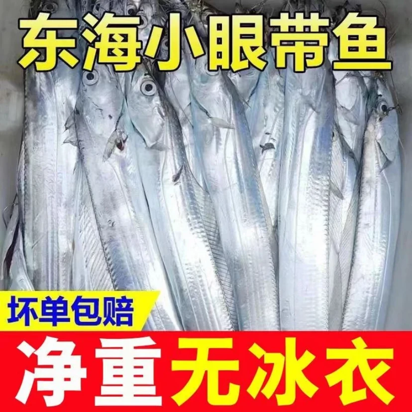 【番薯专属】冷链包邮东海小眼带鱼5斤新鲜速冻发货