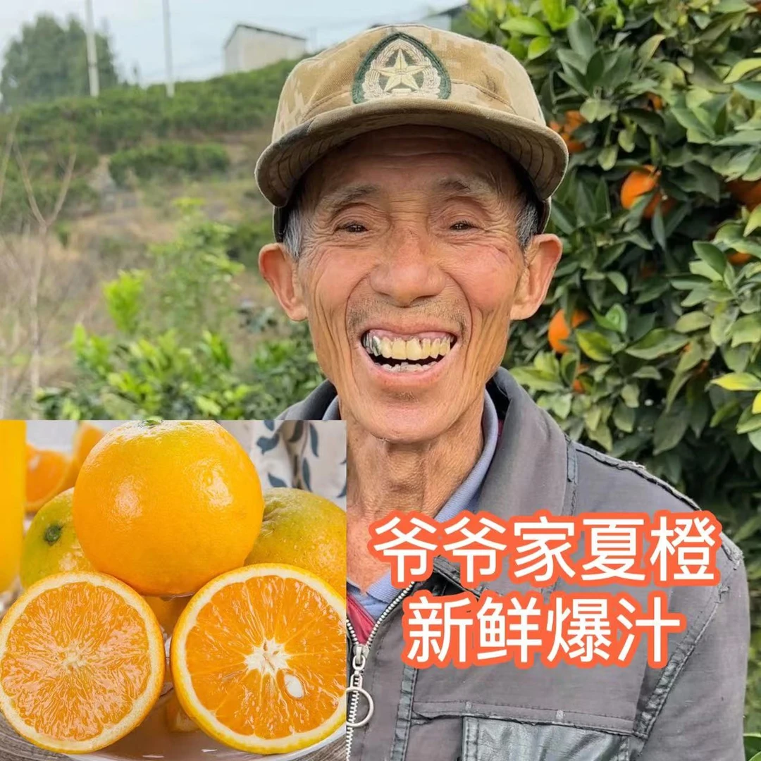 14【爷爷家夏橙】湖北秭归榨汁夏橙 酸甜多汁 净重5/9斤