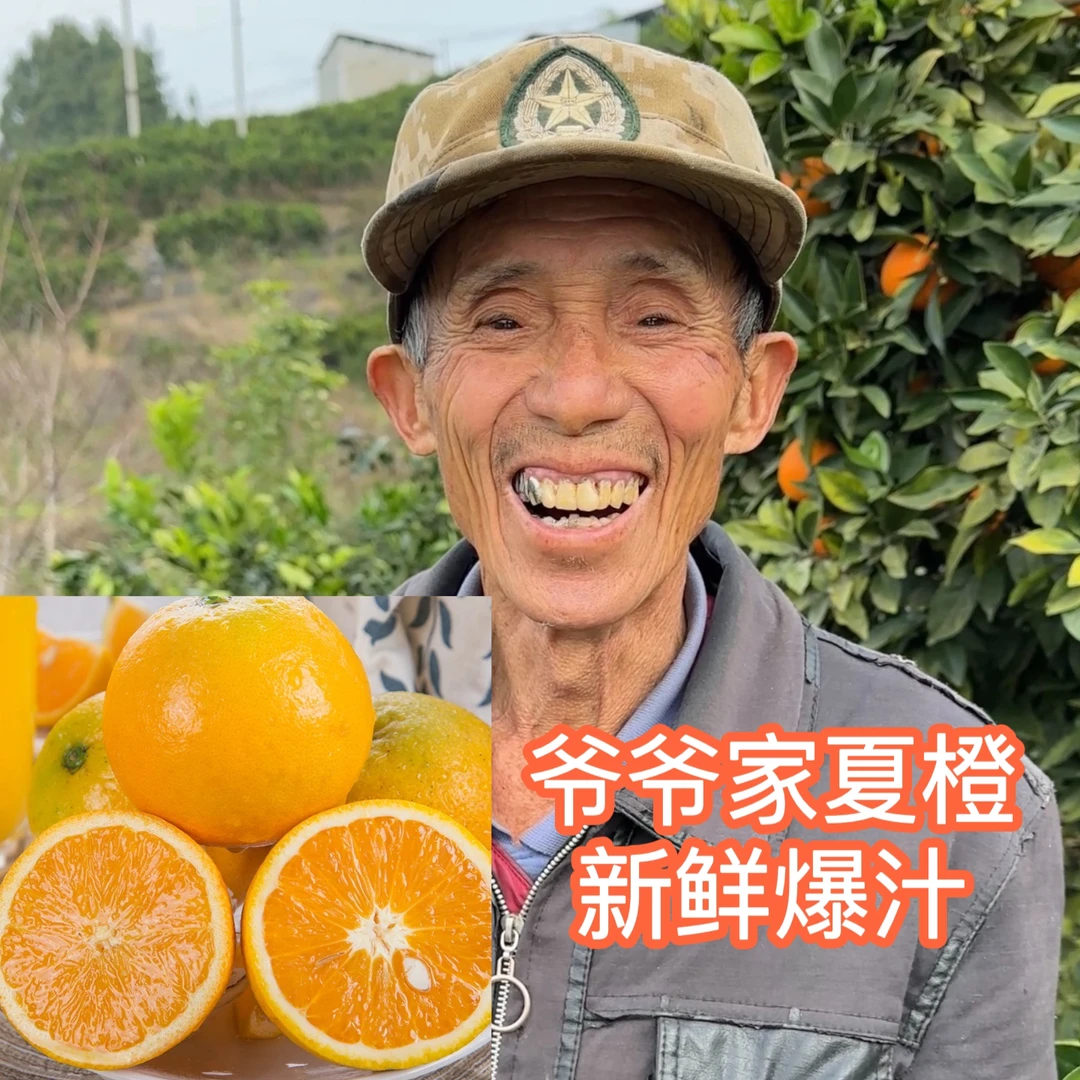 3【爷爷家夏橙】湖北秭归榨汁夏橙 酸甜多汁 净重5/9斤