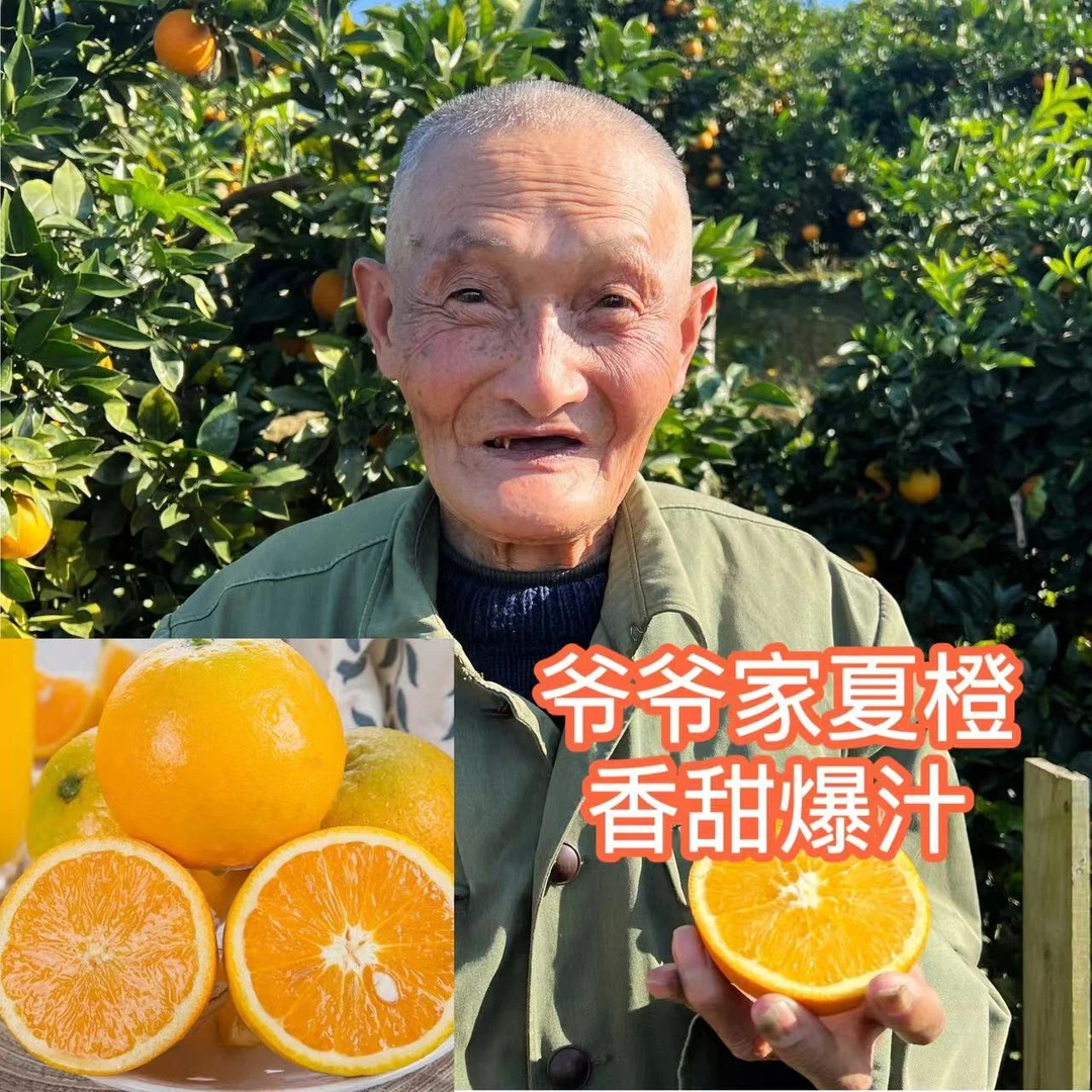 11【爷爷家夏橙】湖北秭归榨汁夏橙 酸甜多汁 净重5/9斤