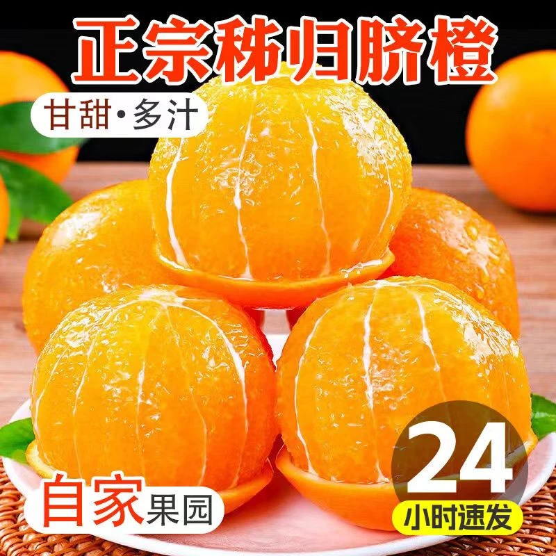 秭归伦晚春橙 帝王橙香甜无核皮薄 新鲜采摘 买5送4到手净重9斤