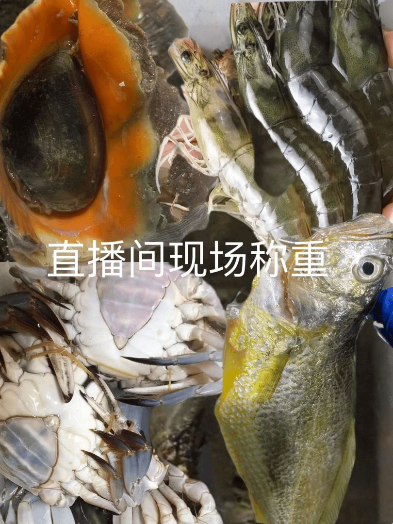 海鲜包括鱼虾蟹现场称重
