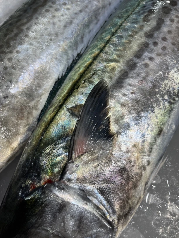 （4.30速冻）品质好大鲅鱼切片发（时令海鲜，不退差价）