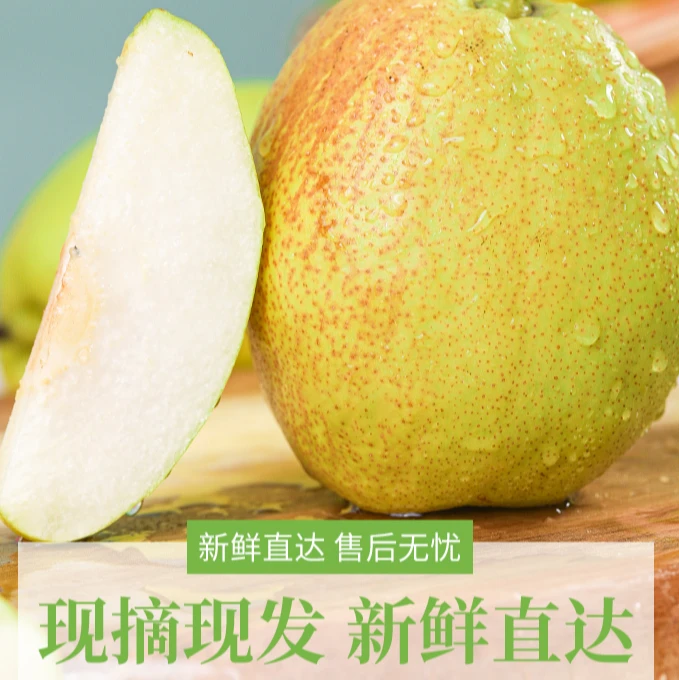 【产地直发】中通 正宗库尔勒香梨梨子酥甜多汁当季孕妇水果整箱